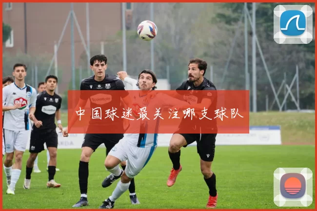 中国球迷最关注哪支球队