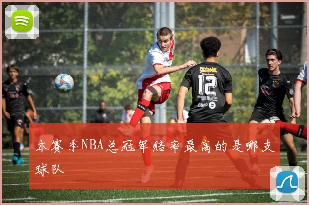 本赛季NBA总冠军赔率最高的是哪支球队