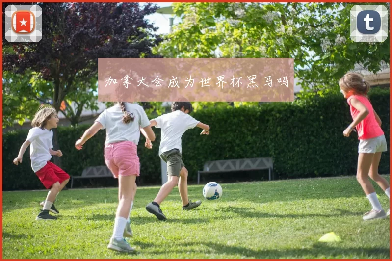 加拿大会成为世界杯黑马吗