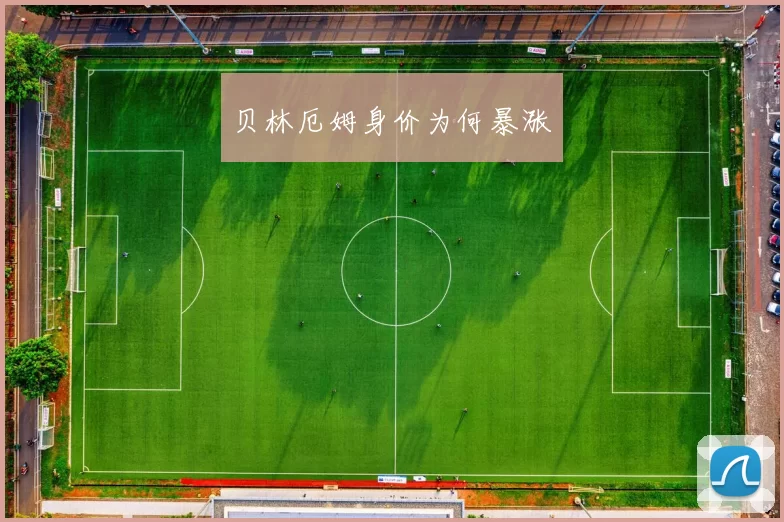 贝林厄姆身价为何暴涨